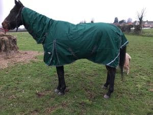Light / Medium Weight 100gram Full Neck Turnout Horse Rug 1200 Denier