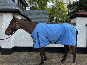 Light Weight 100gram Standard Neck Turnout Horse Rug 1200 Denier