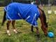 Light Weight 50gram Standard Neck Turnout Horse Rug 1200 Denier