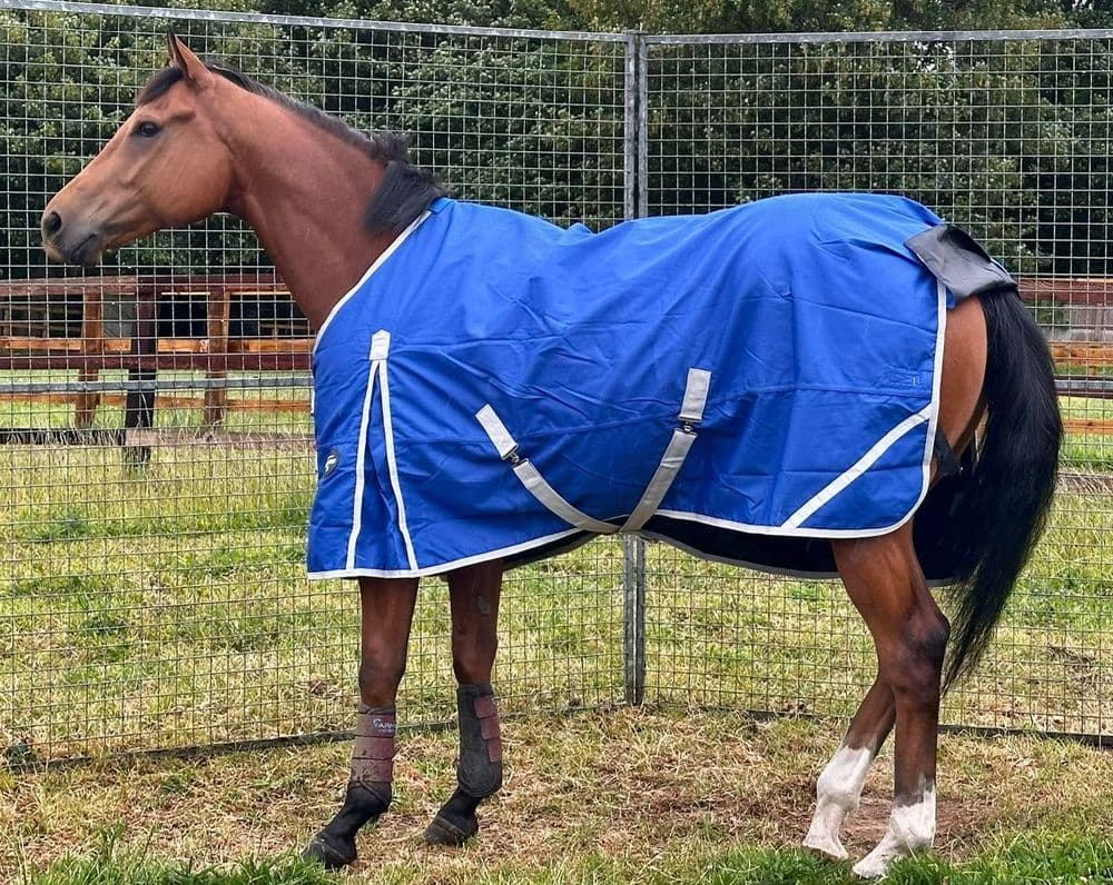 Heavyweight Rugs Light Weight 50gram Standard Neck Turnout Horse Rug 1200 Denier