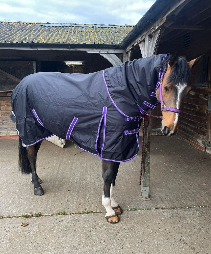 Medium Weight Detachable Neck 200gsm Horse Rug 1200Denier