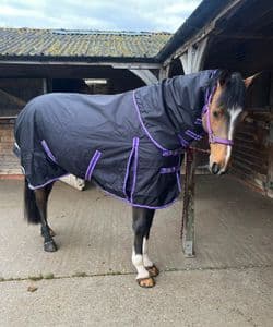 Medium Weight Detachable Neck 200gsm Horse Rug 1200Denier