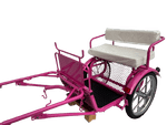 Miniature Shetland Pony 2 Wheel Excercise Leisure Cart