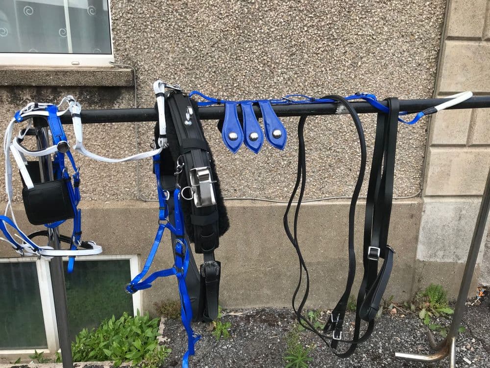 Quick Hitch Harness Blue with black and white