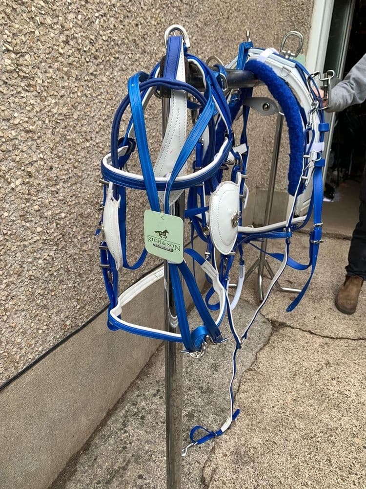 Quick Hitch Trotting Harness Blue with White