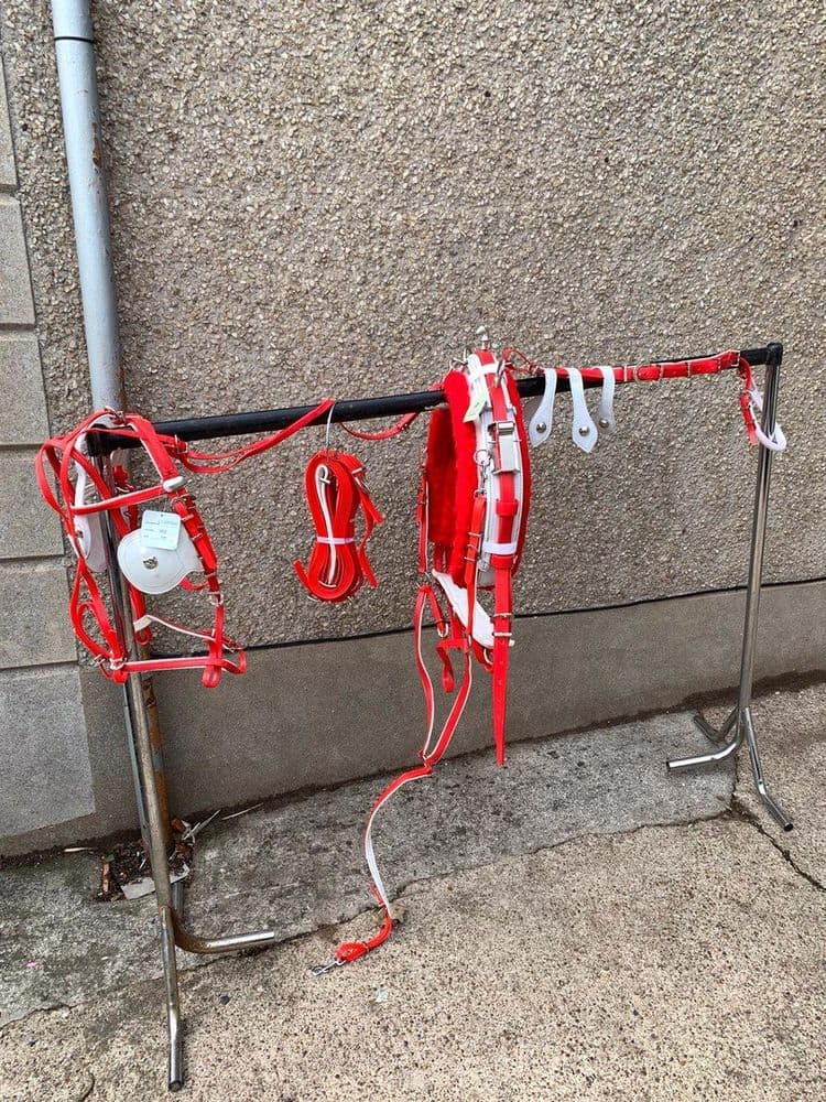 Quick Hitch Trotting Harness Red with White