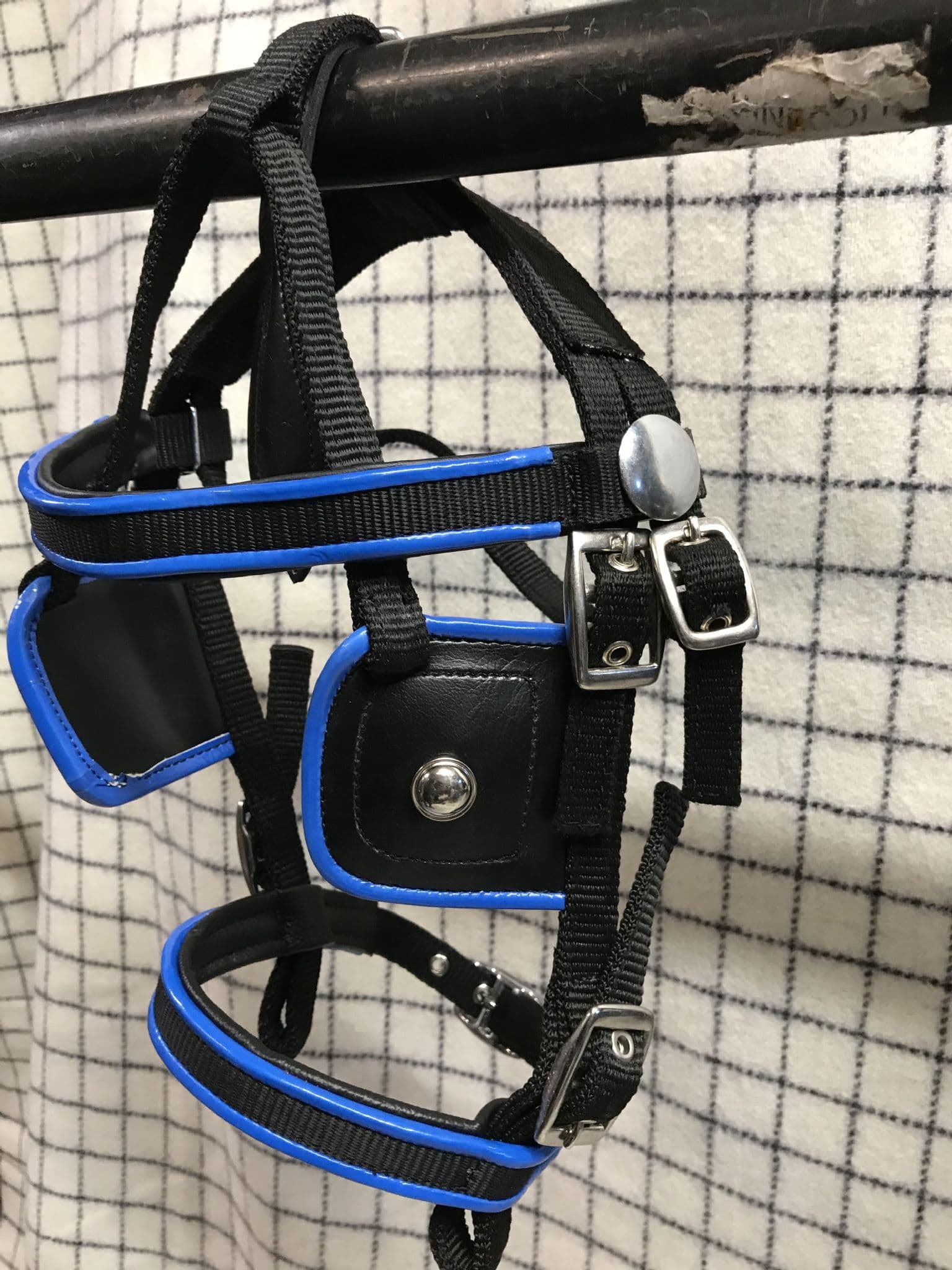 bing Driving Harness Black With Blue Trim