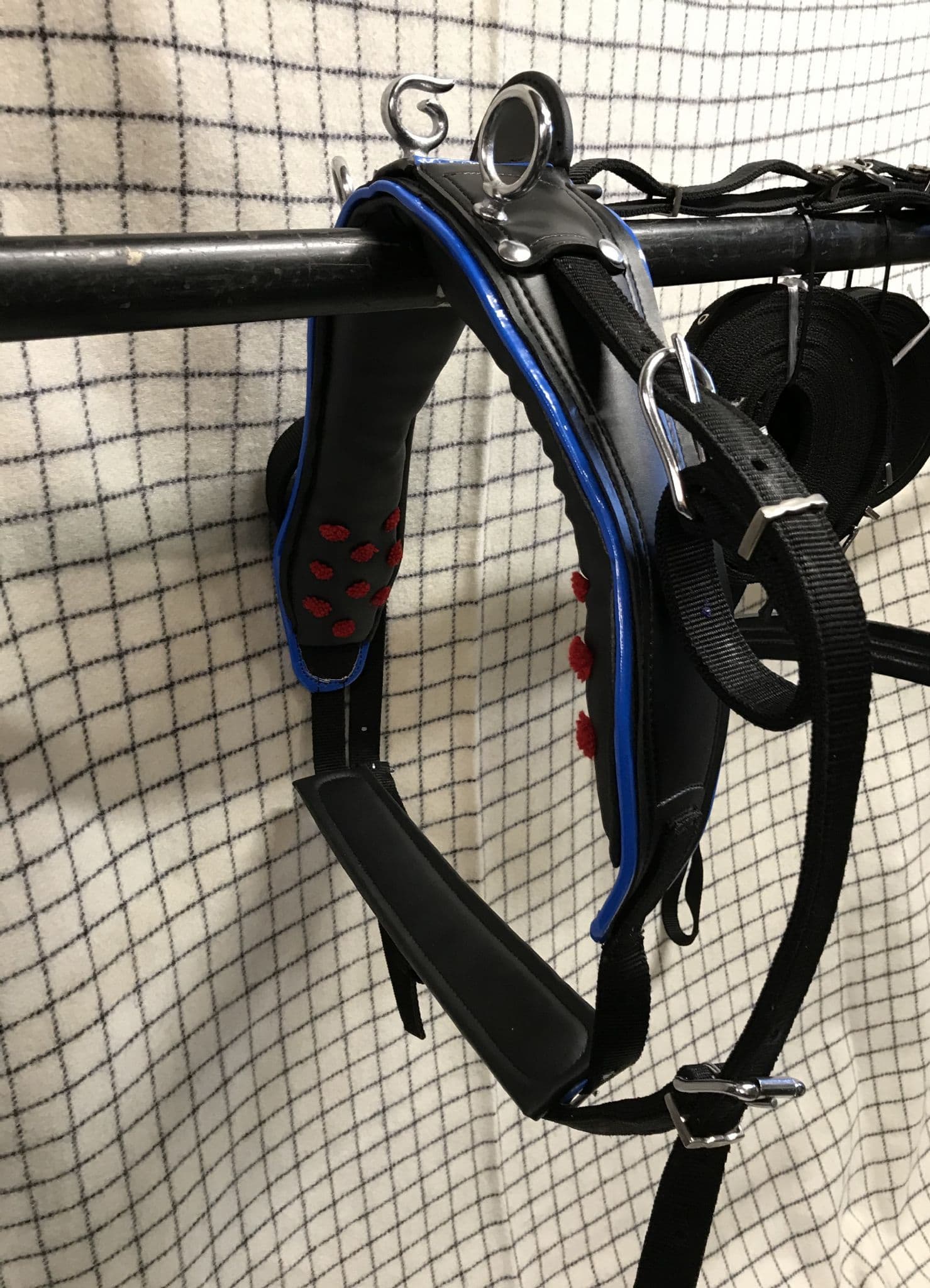 bing Driving Harness Black With Blue Trim