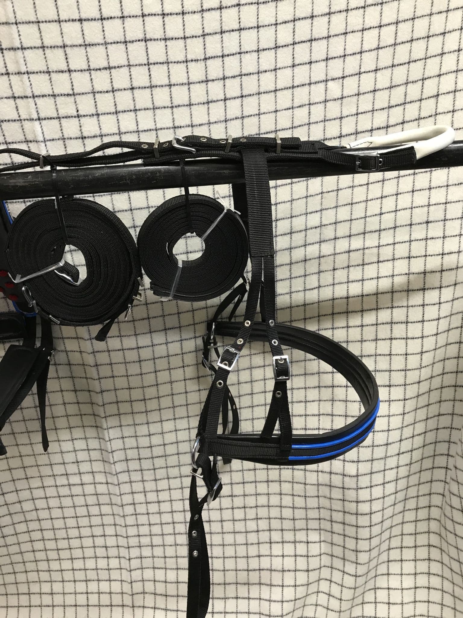 bing Driving Harness Black With Blue Trim