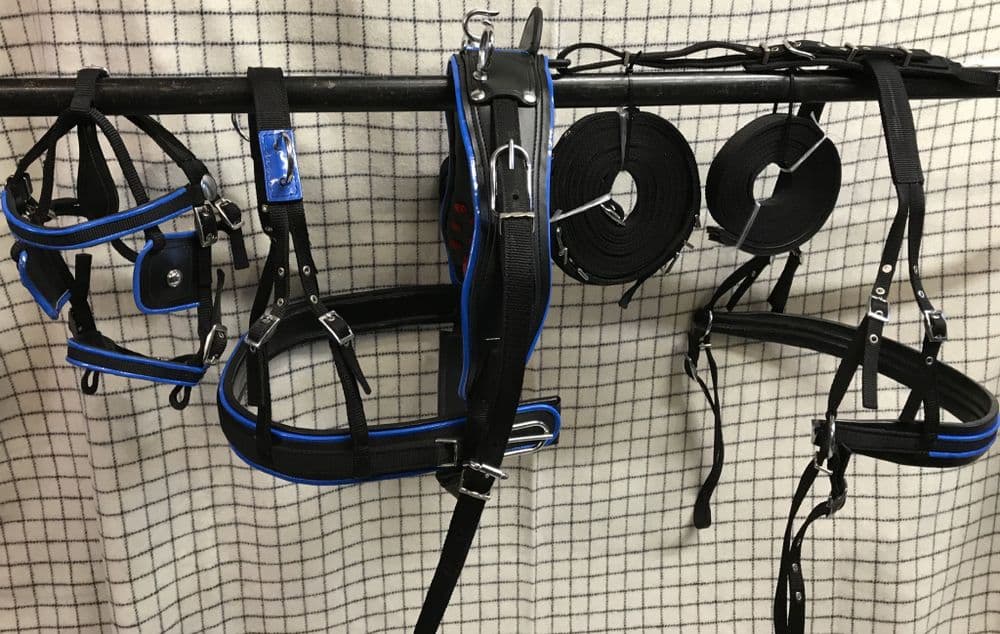 bing Driving Harness Black With Blue Trim