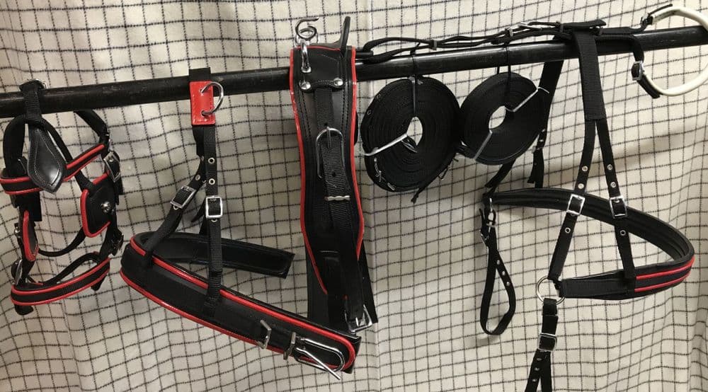 bing Driving Harness Black With Red Trim