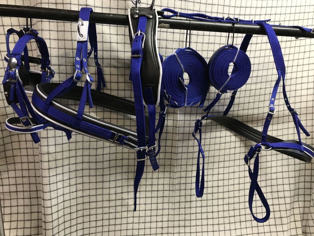 bing Driving Harness Blue With White And Black
