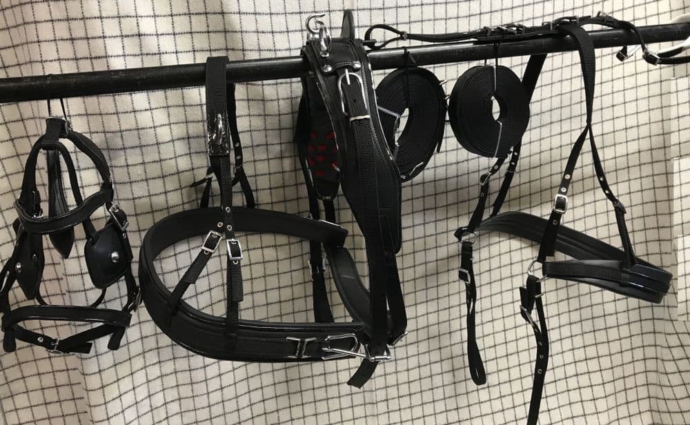 bing Driving Harness Plain Black