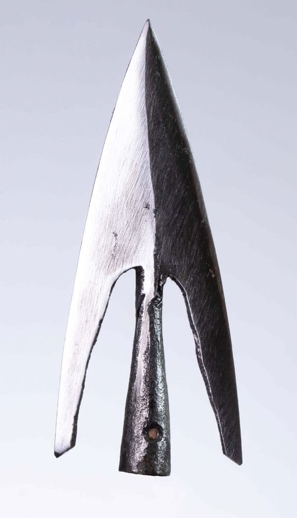 `HECTOR COLE`  `Curved Broadhead`