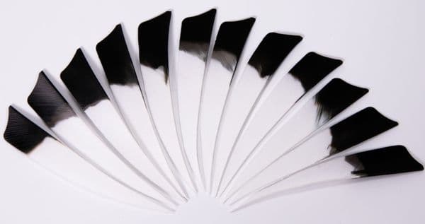 `Two Tone` 4 INCH SHIELD FLETCHES