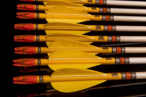 1 DOZEN DELUXE TOURNAMENT TARGET ARROWS