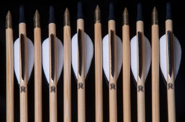 1 DOZEN STANDARD TARGET ARROWS