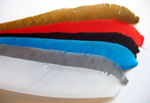 LEFT WING FULL LENGTH FEATHER FLETCHINGS