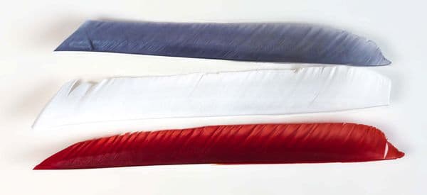 RIGHT WING FULL LENGTH FEATHER FLETCHINGS