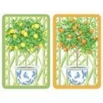 Citrus Topiary  large print cards