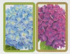 bridge cards |luxury| playing cards