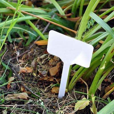 10 White T-shaped Plant Markers (13cm)