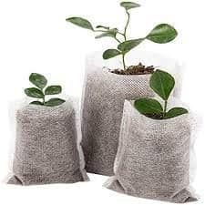 50 Biodegradable Seedling Bags
