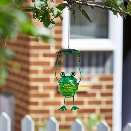 Bouncy Frog Sun Catcher