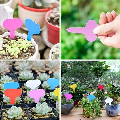 Coloured Plant Labels (10 pack)