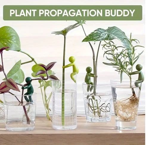 Fun Indoor Plant and Flower Supports