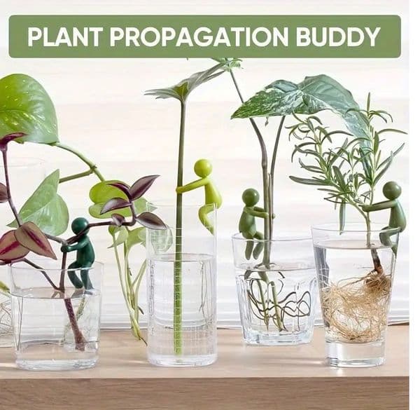 Fun Indoor Plant and Flower Supports