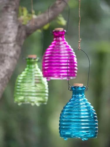 Hanging Glass Wasp Trap