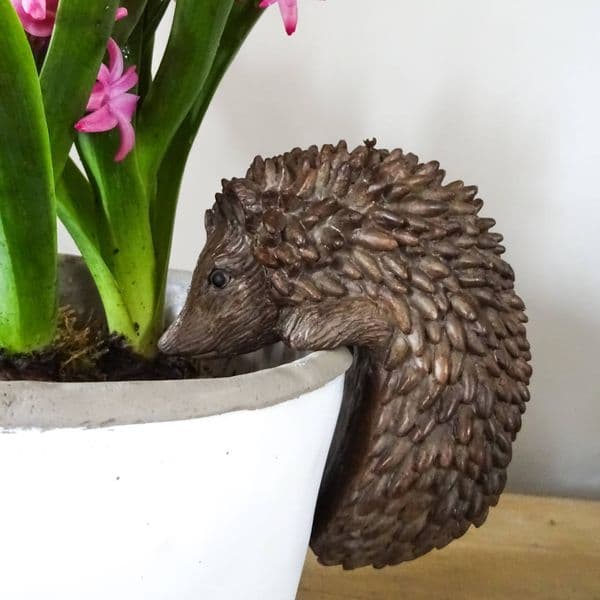 Hedgehog Pot Hanger