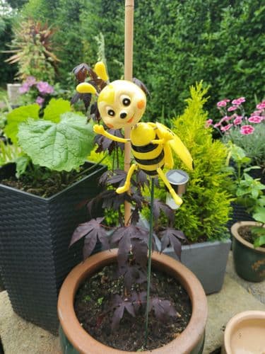 LADYBIRD ON STAKE - MOVING HEAD AND LIMBS