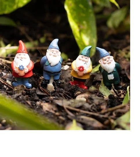 Mini Gnome Plant Pot Pals (Set of 4)
