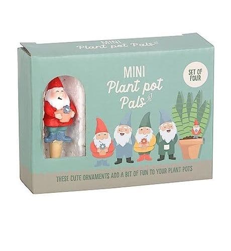 Mini Gnome Plant Pot Pals (Set of 4)