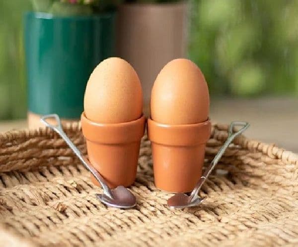 Plant Pot Egg Cup Set of two with Shovel Spoons