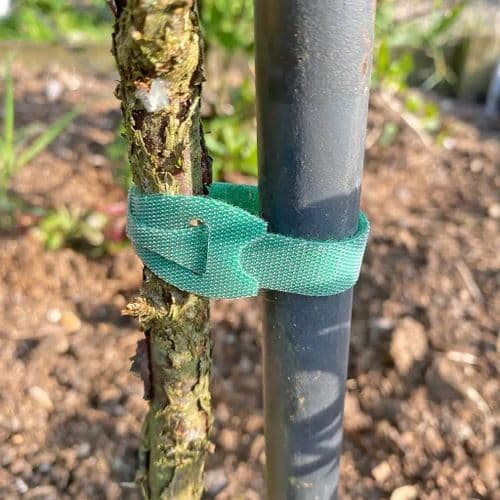 Velcro Style Garden Ties (pack of 10)