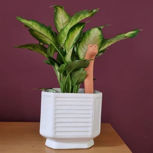 Willy the Worm Plant Water Sensor