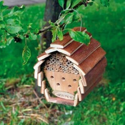 Wooden Insect Hotel