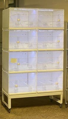 Bird Breeding Cage 120cm x 40cm x 45cm H