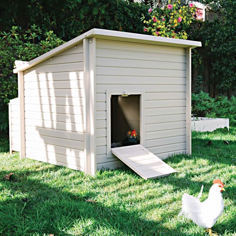 Best Plastic Chicken Coop – The 5 Best Chicken Coops of 2024 – EBJS