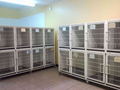 KA-505 Dog Holding Cages