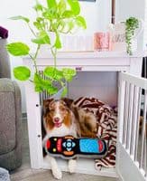 Newagepet Inn Place Dog Crate