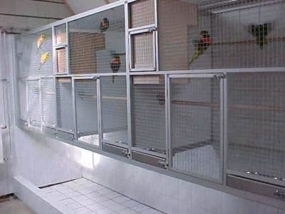 Aviary Panels