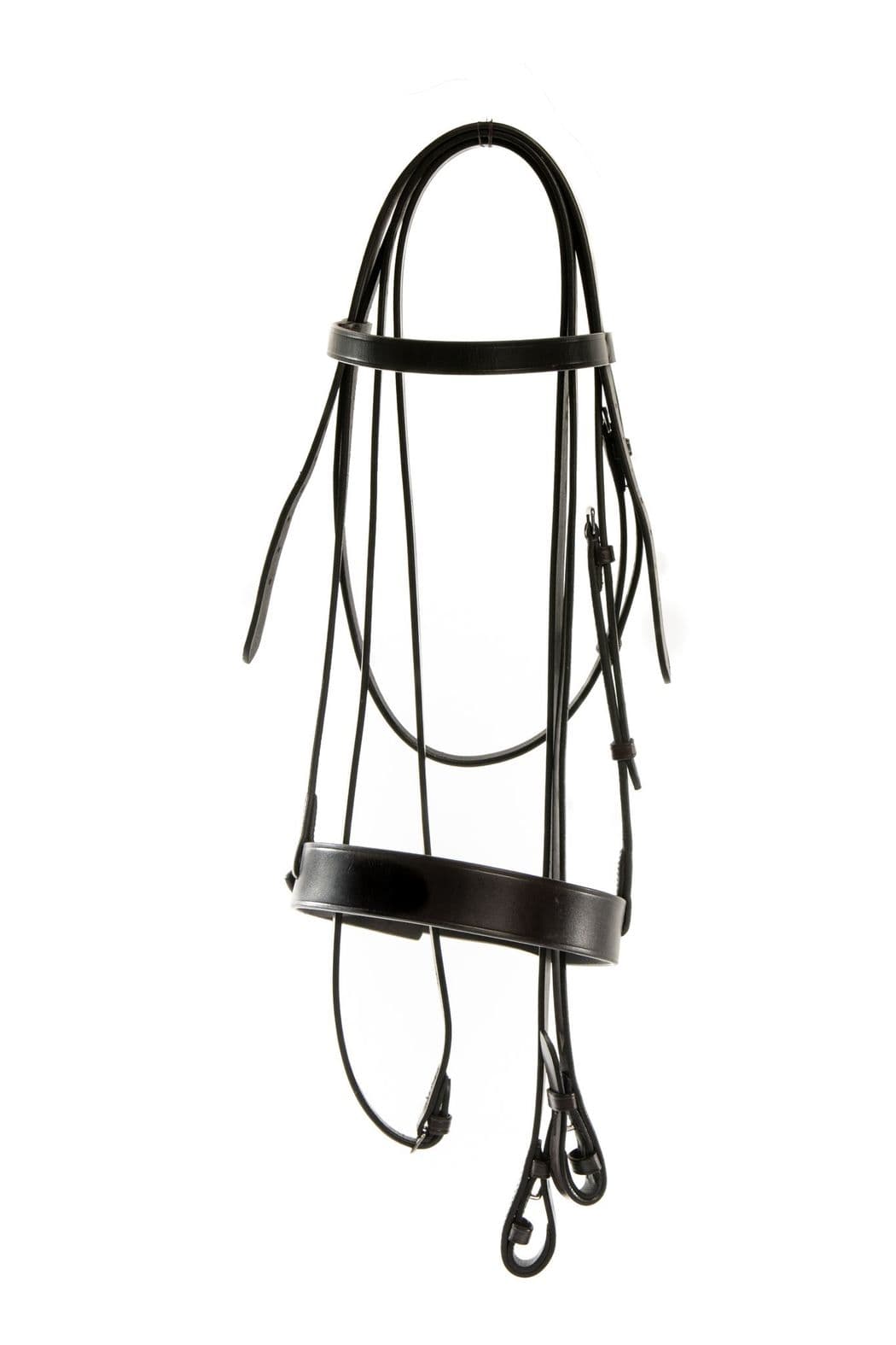 Bridle Bundle