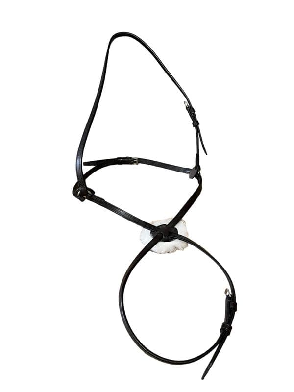 Mexican Grackle Noseband