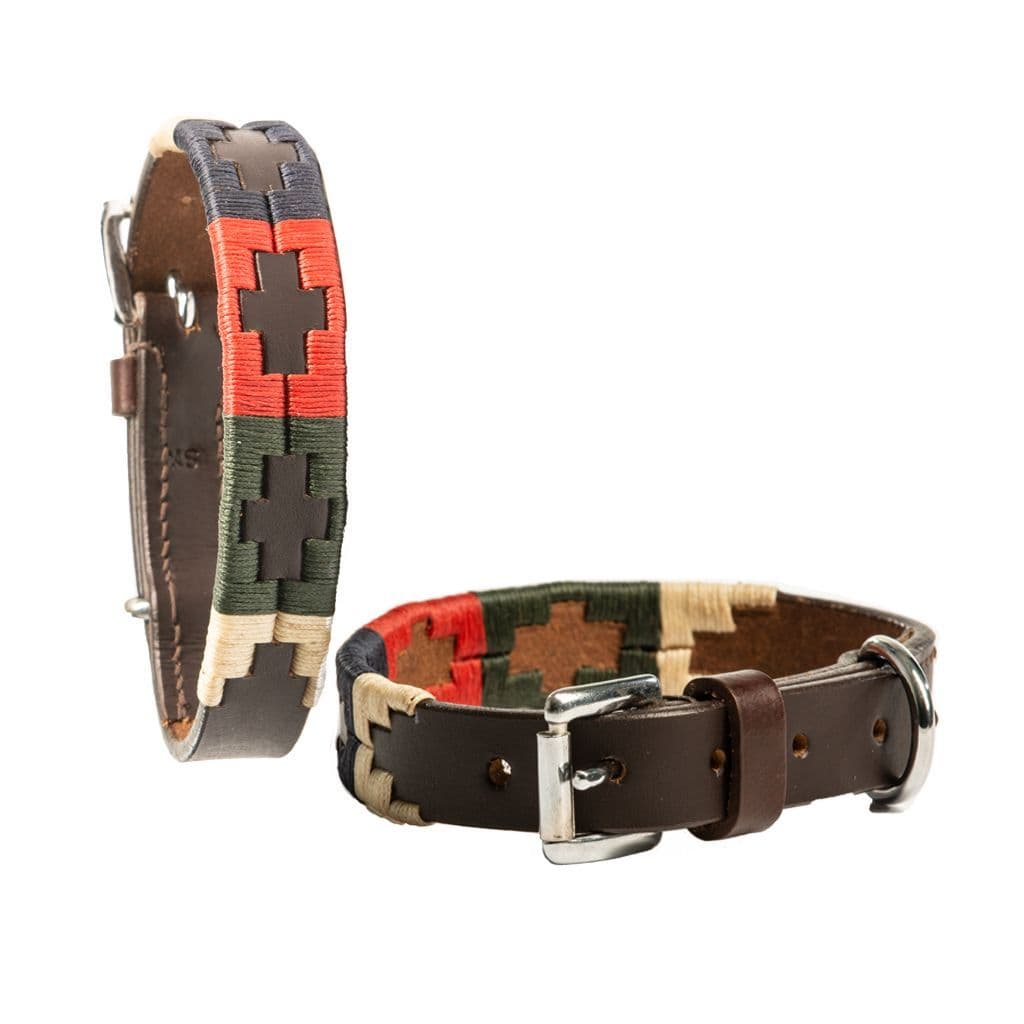 SALE (WAS £20) - Argentine Hand Embroidered Dog Collar (Gold/Green/Navy/Red)