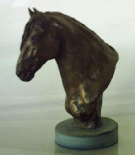 'Malabar' Purebred Spanish (Andalusian) Horse