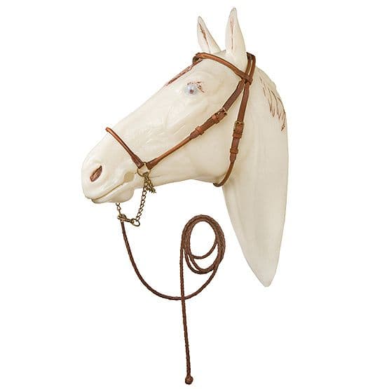 Arabian show bridle or halter